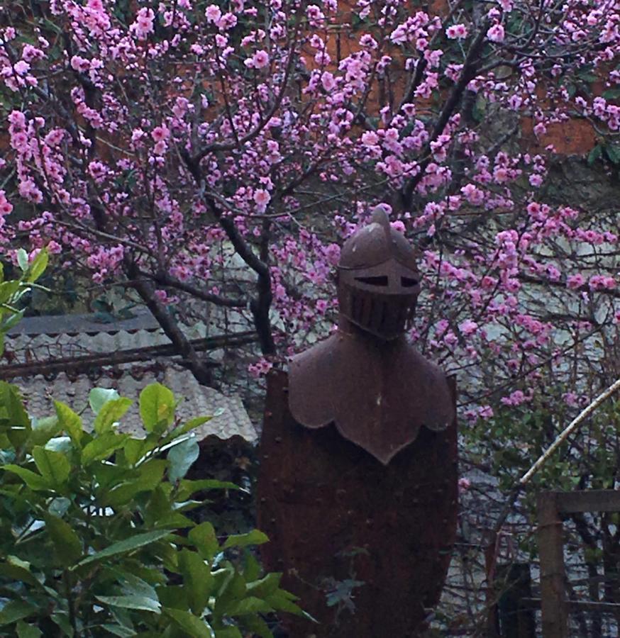 蒂格雷Casa Ruchi 1893住宿加早餐旅馆 外观 照片